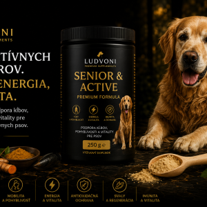 Dr. Ludvoni Senior Mobility for Dogs – Premium Formula