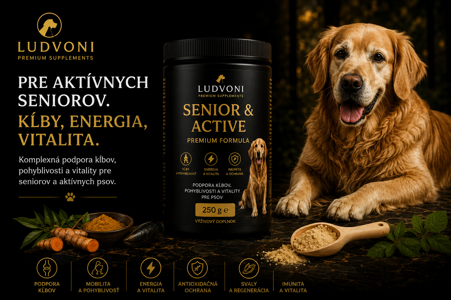 Dr. Ludvoni Senior Mobility for Dogs – Premium Formula