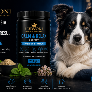 Dr. Ludvoni Calm & Relax for Dogs – Premium Formula