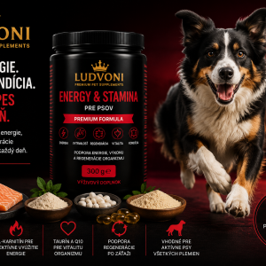 Dr. Ludvoni Active & Recovery for Dogs – Premium Formula