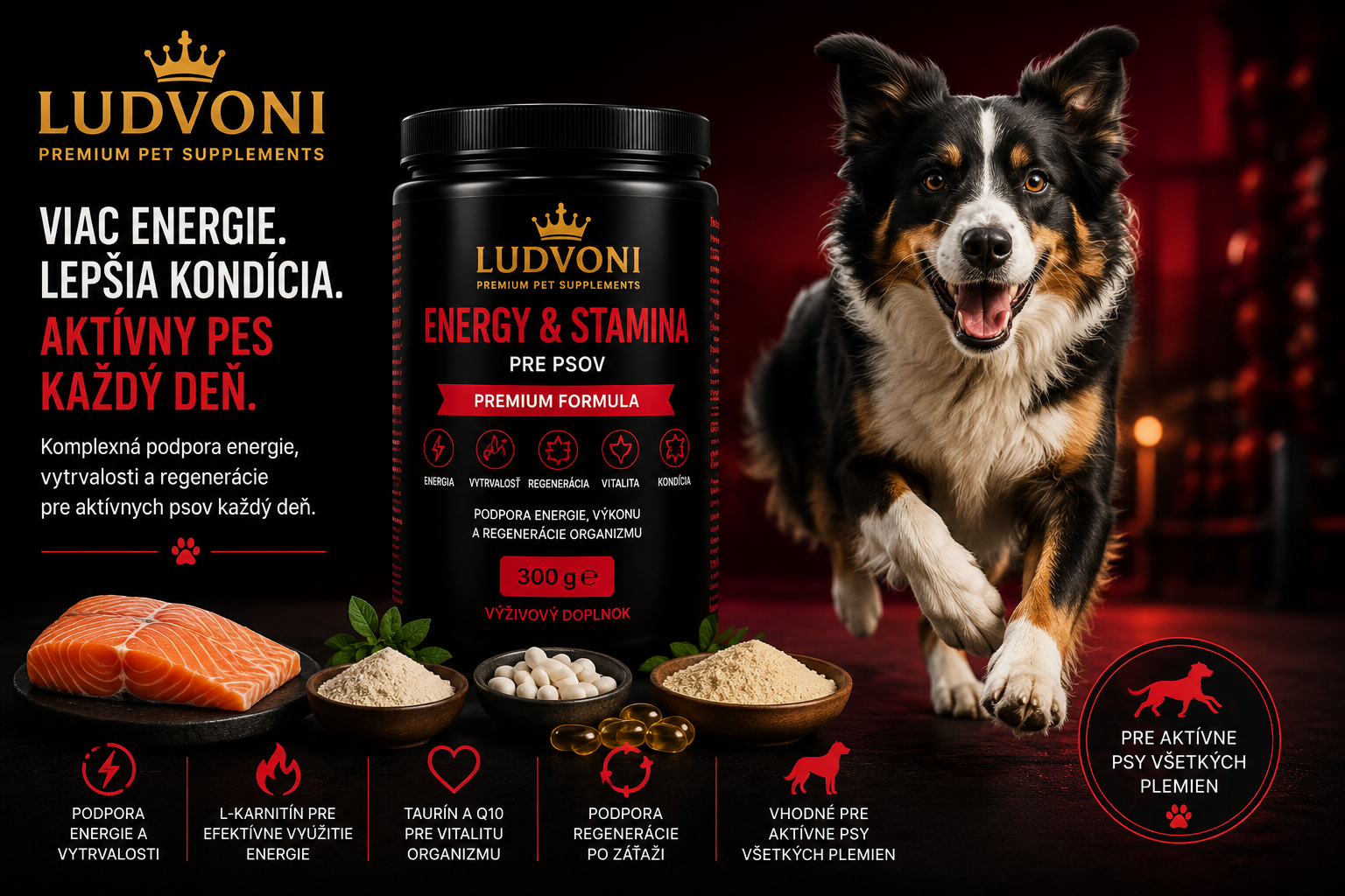 Dr. Ludvoni Active & Recovery for Dogs – Premium Formula